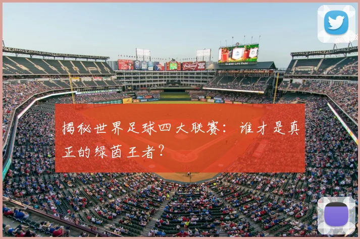 揭秘世界足球四大联赛：谁才是真正的绿茵王者？